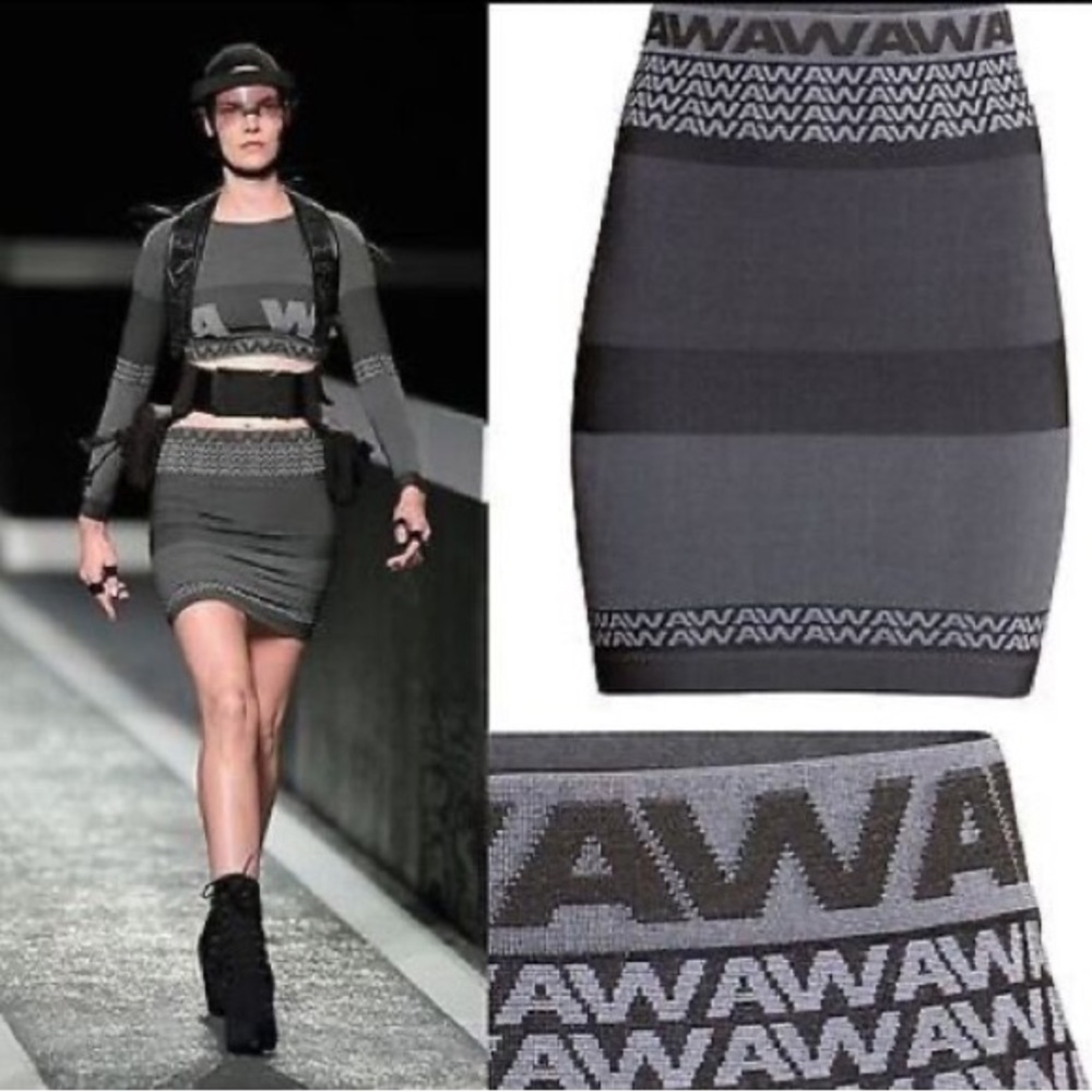Vera Wang X H&M Skirt
